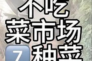 开云app外址下载在哪截图2